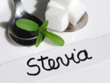 Stevia- Die Zuckeralternative